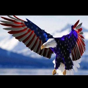 Meet your Posher, Todd